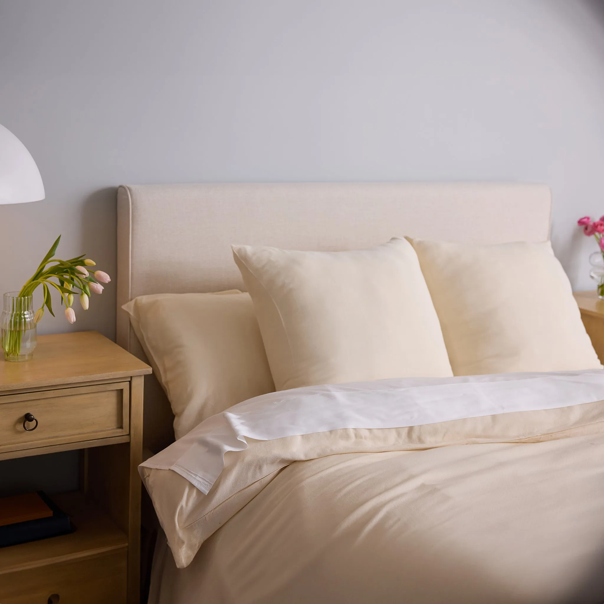 Aire Bamboo Shams