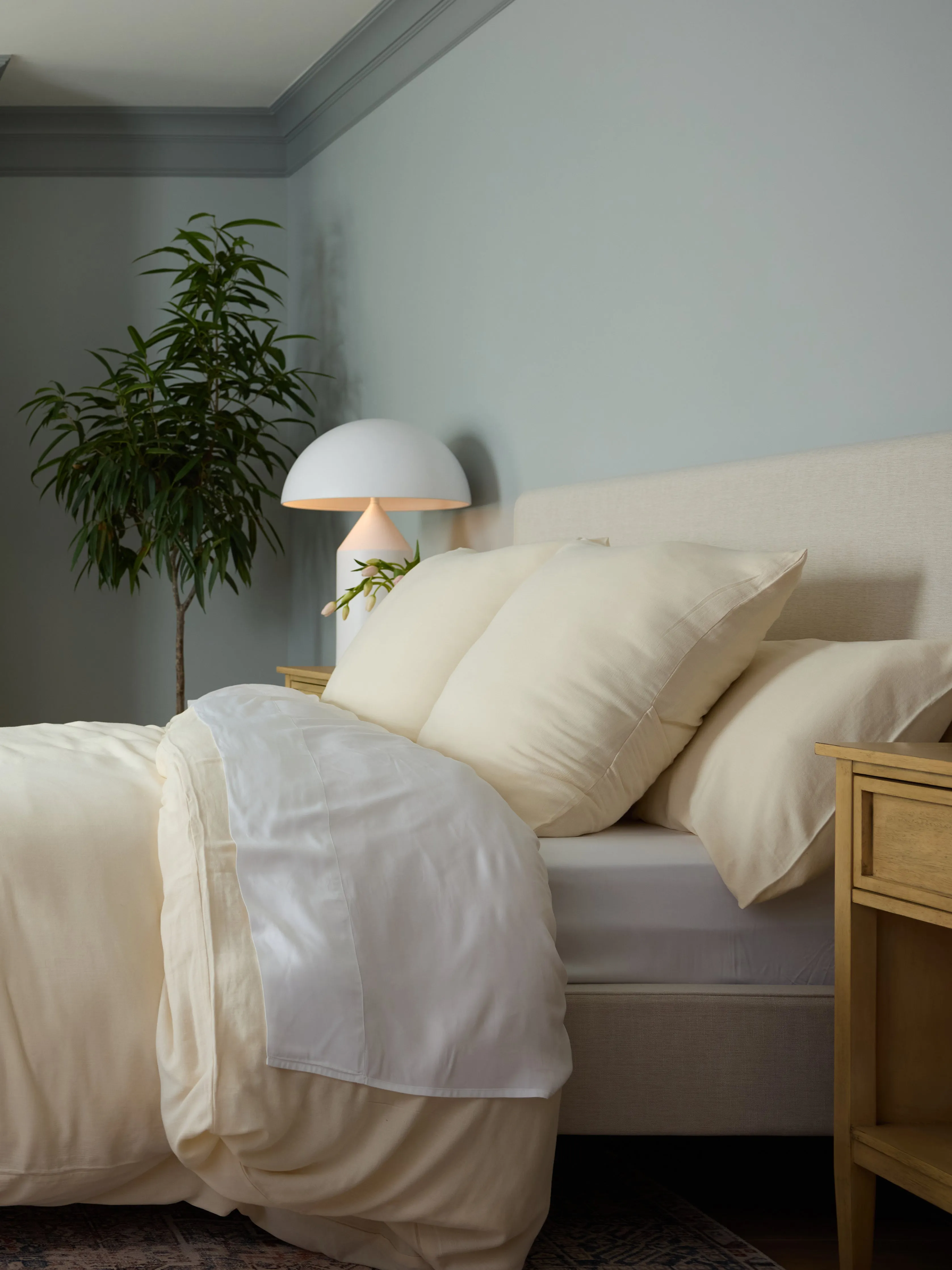 Aire Bamboo Shams