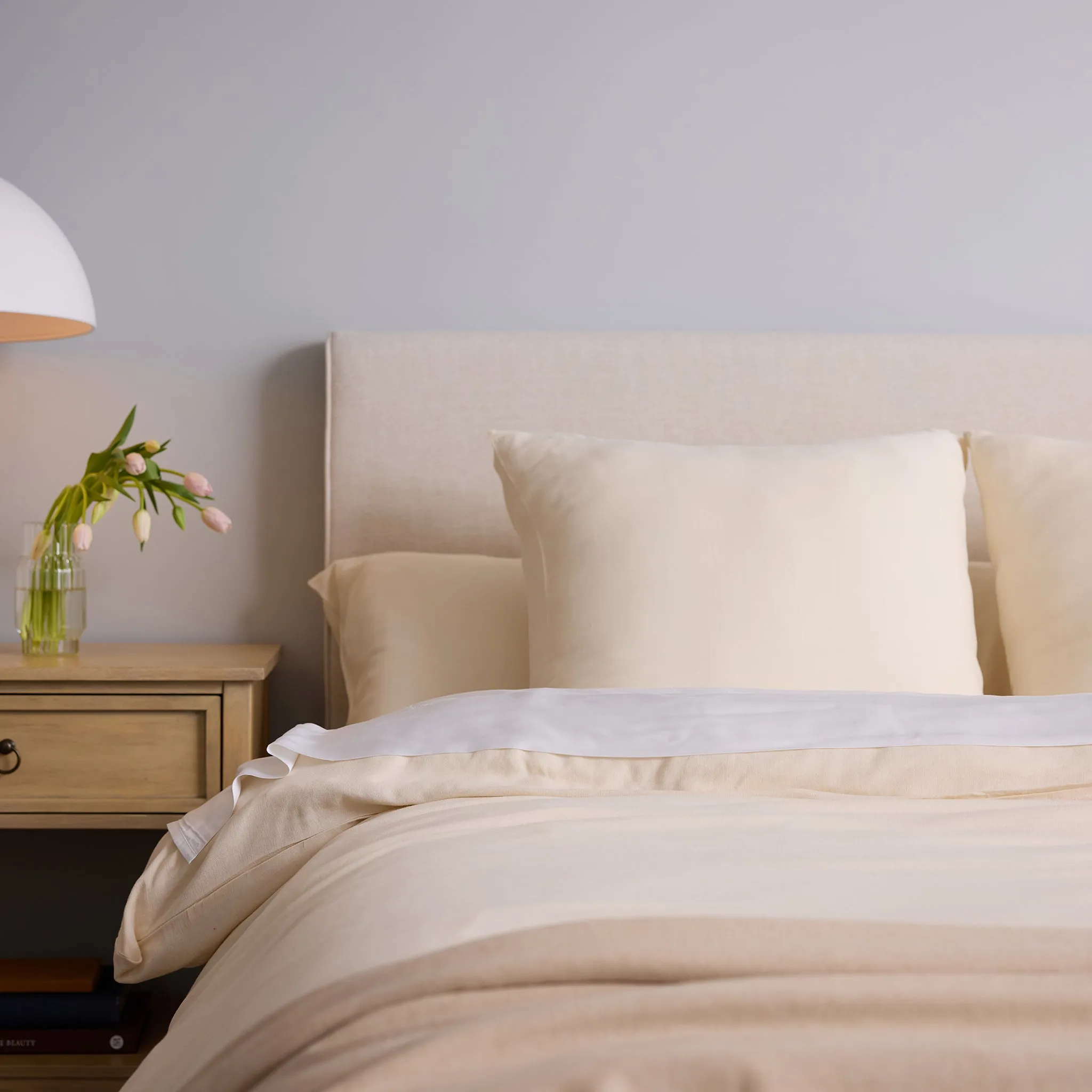Aire Bamboo Shams