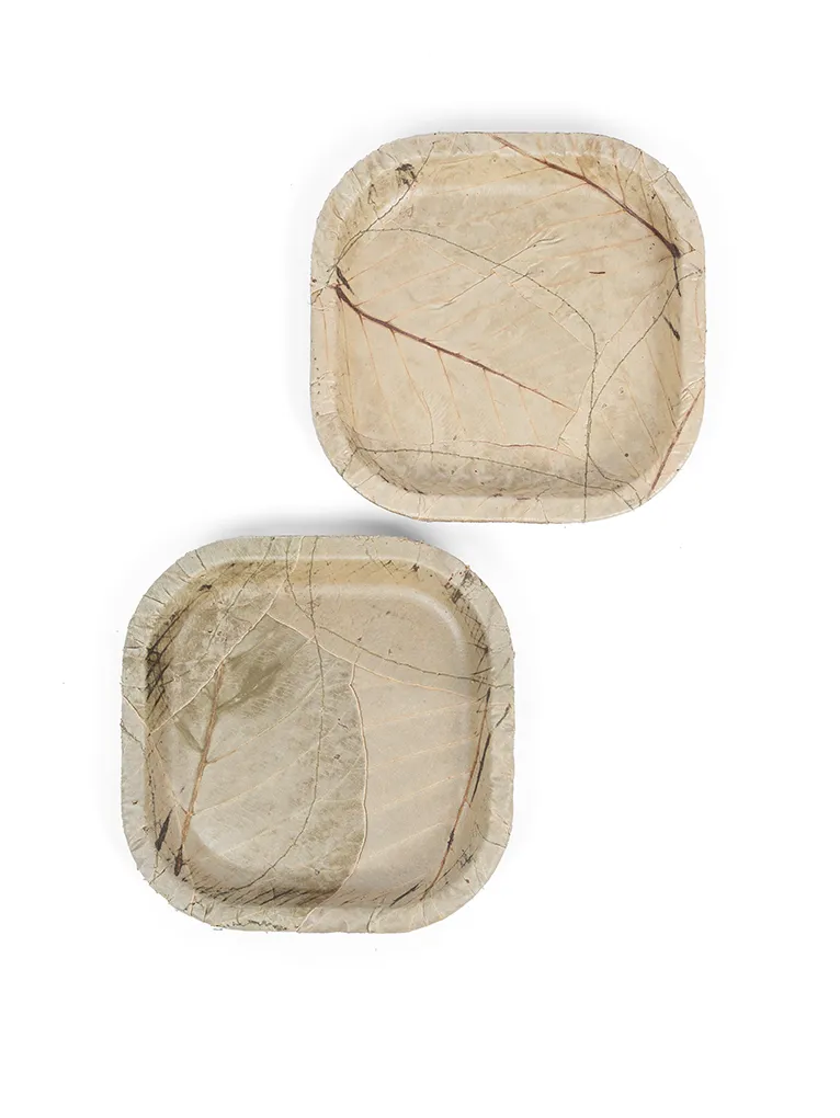 Sal Leaf Small Square Buffet Plate