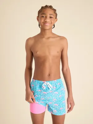 The Domingos Are For Flamingos (Boys Lined Classic Swim Trunk- Shorter)