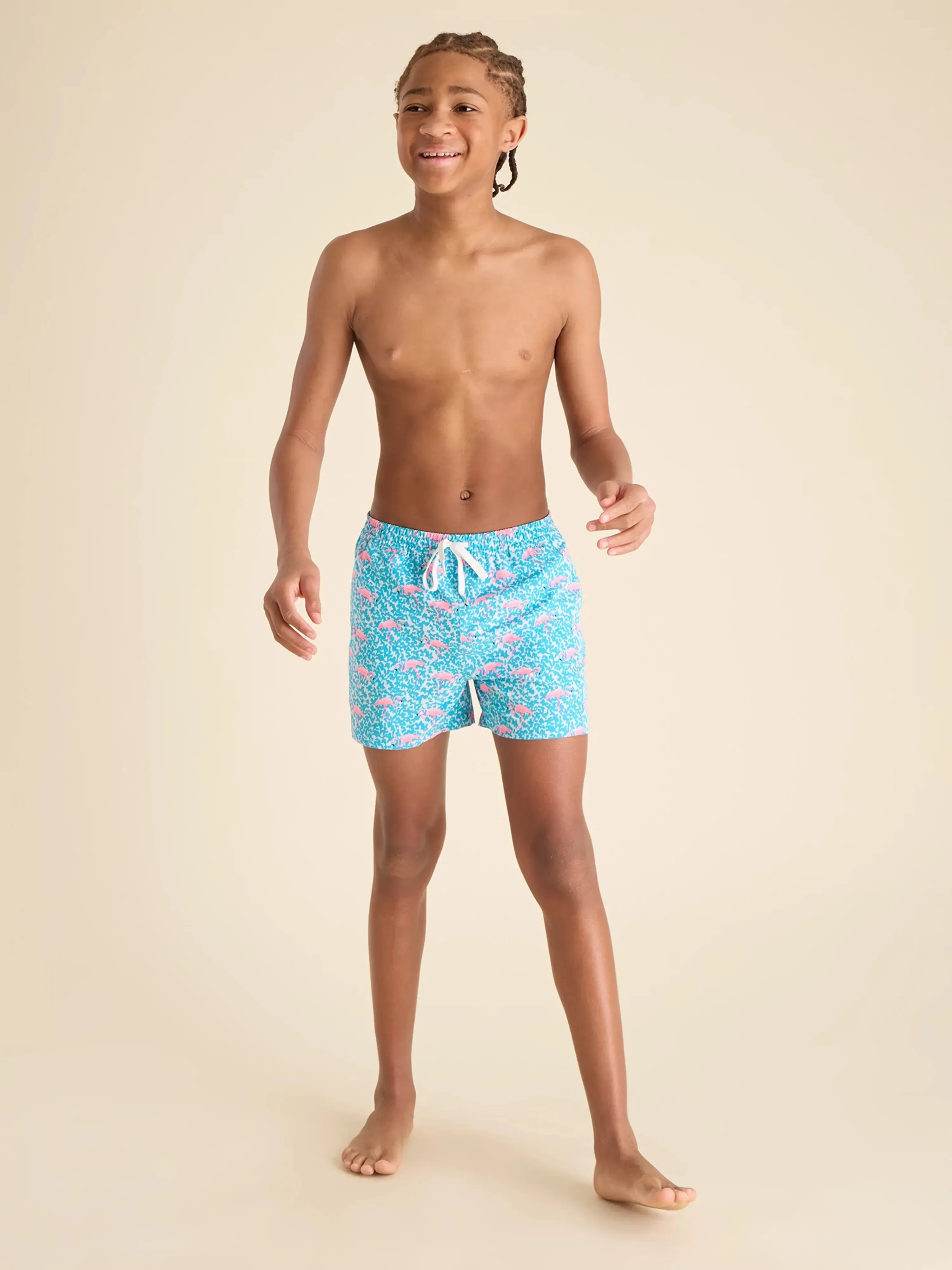 The Domingos Are For Flamingos (Boys Lined Classic Swim Trunk- Shorter)